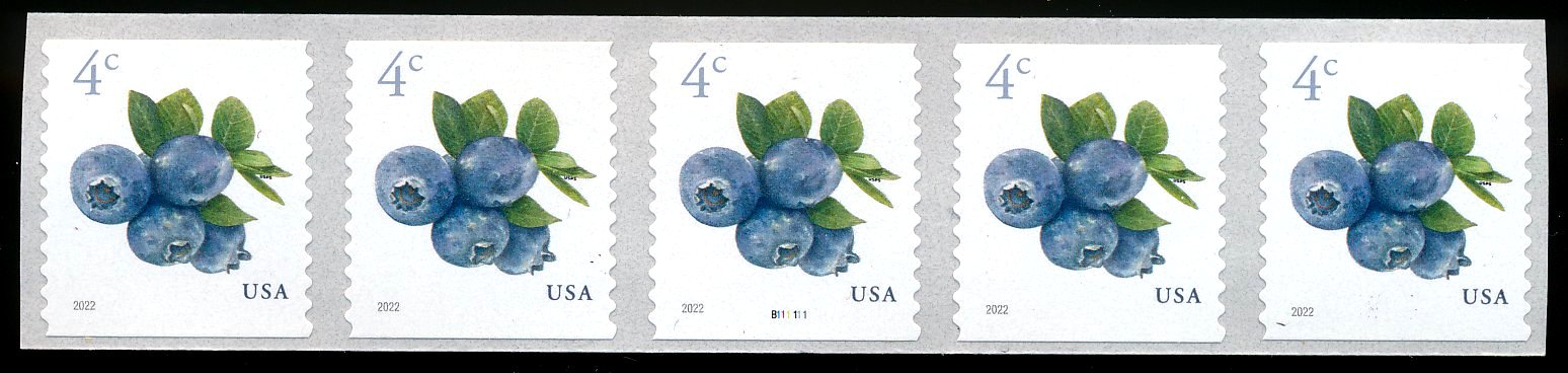 5653pnc5 4c Blue Berries Mint PNC of 5 #5653pnc5